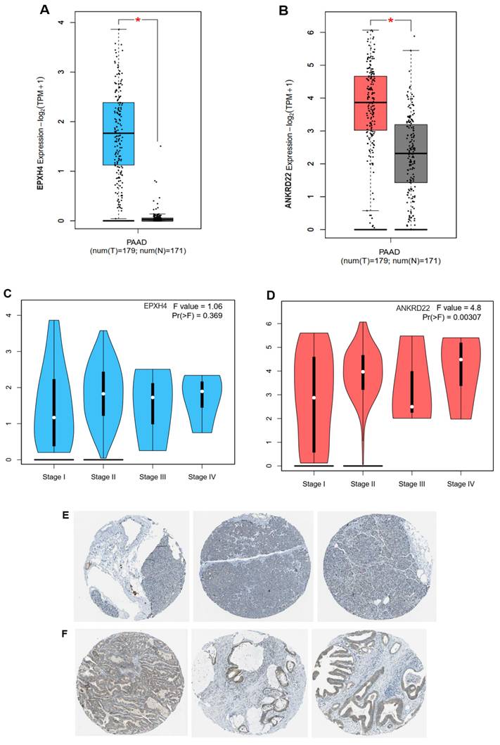 Int J Med Sci Image