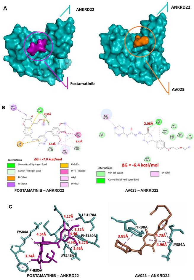 Int J Med Sci Image