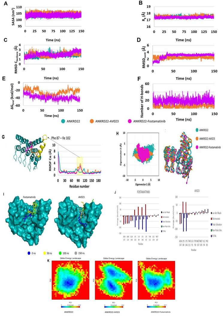 Int J Med Sci Image