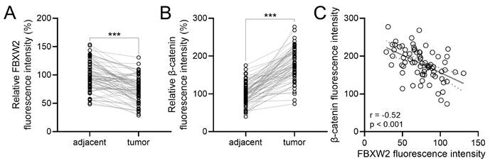 Int J Med Sci Image