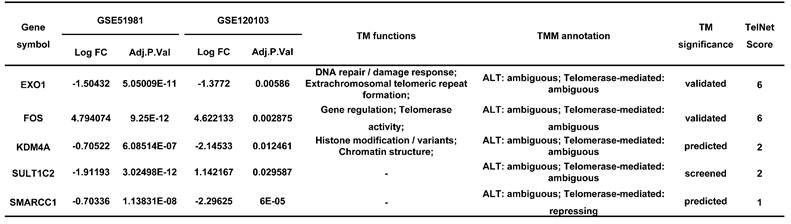 Int J Med Sci Image
