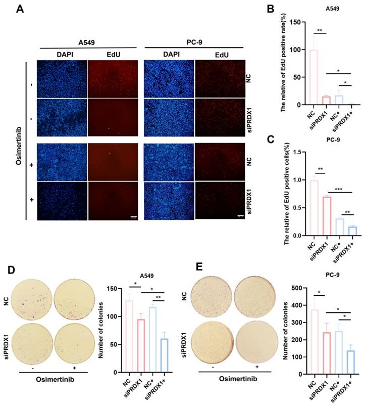 Int J Med Sci Image
