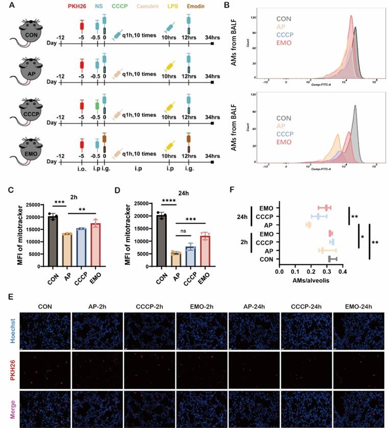 Int J Med Sci Image