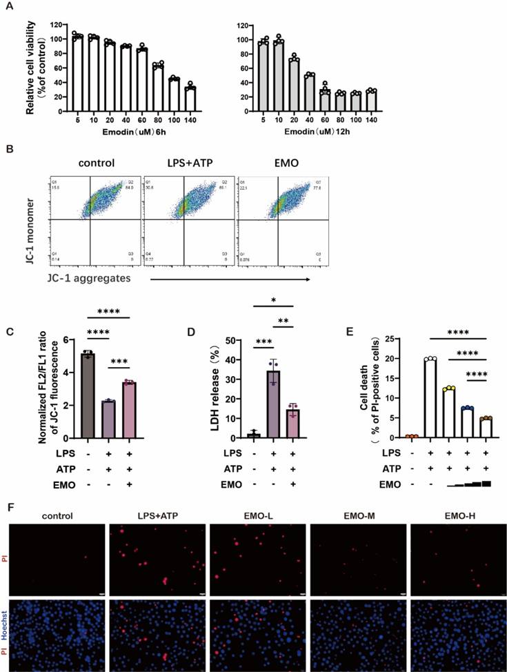 Int J Med Sci Image