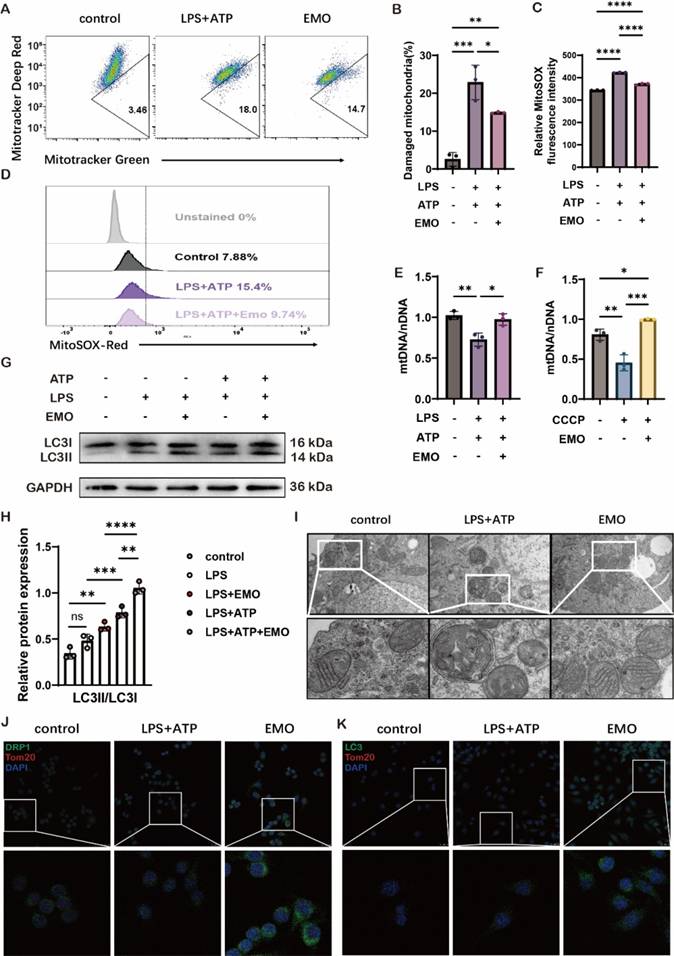 Int J Med Sci Image