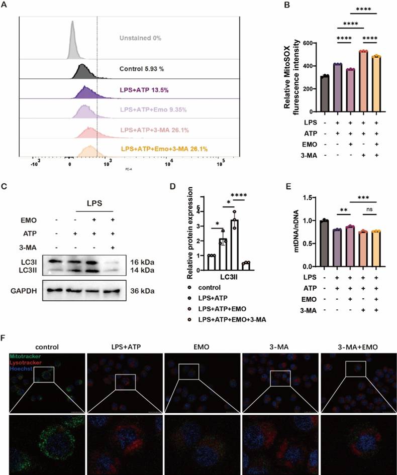Int J Med Sci Image