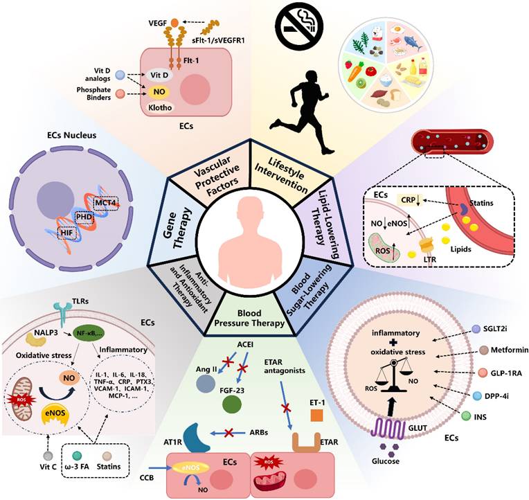 Int J Med Sci Image