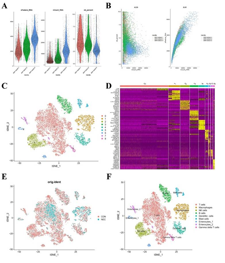Int J Med Sci Image