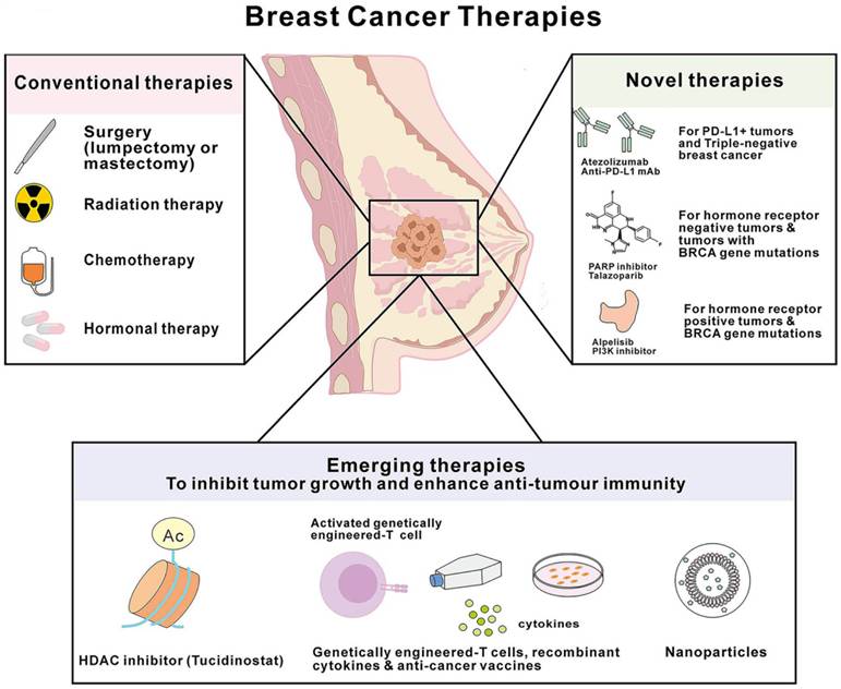 Int J Med Sci Image