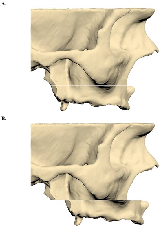 Int J Med Sci Image