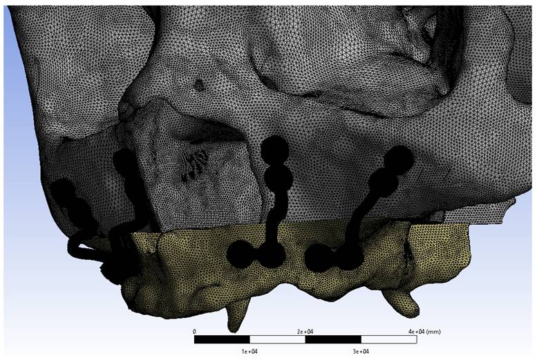 Int J Med Sci Image