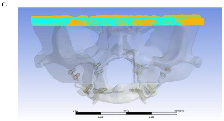 Int J Med Sci Image