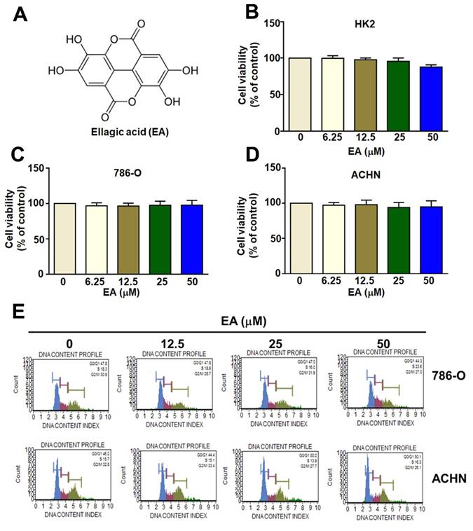 Int J Med Sci Image