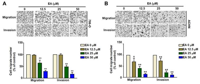 Int J Med Sci Image