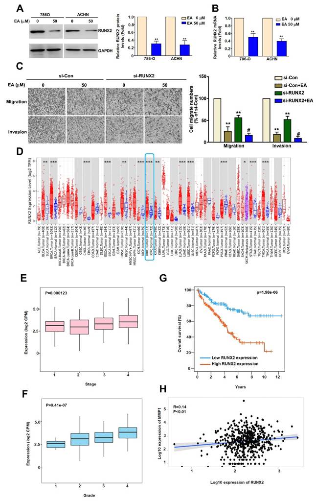 Int J Med Sci Image
