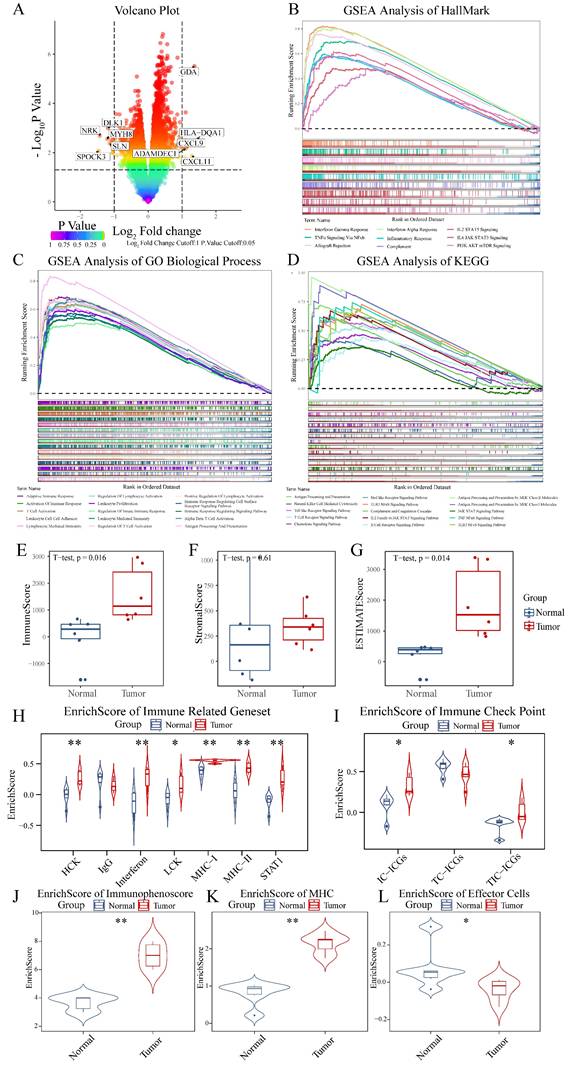 Int J Med Sci Image