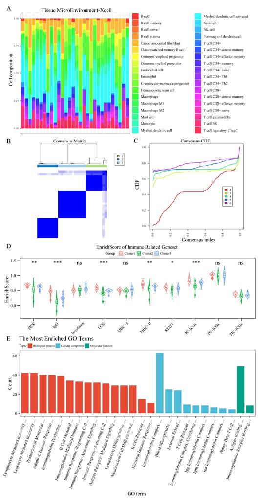 Int J Med Sci Image