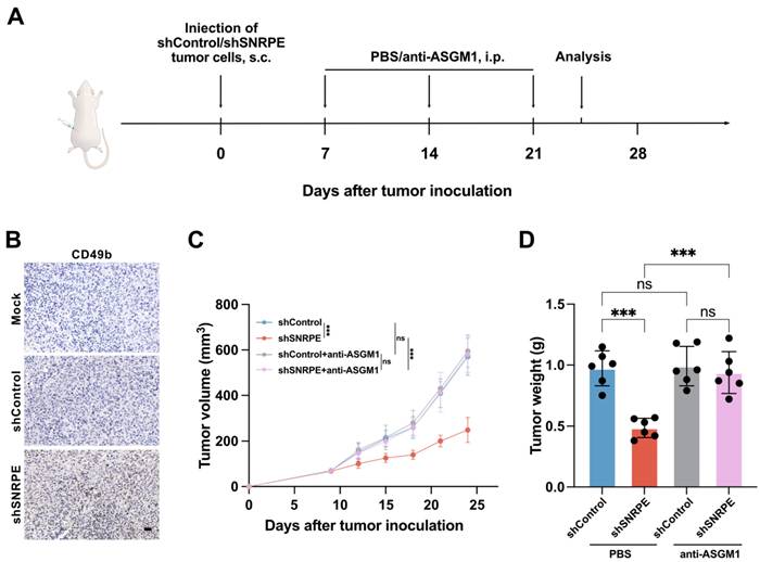 Int J Med Sci Image