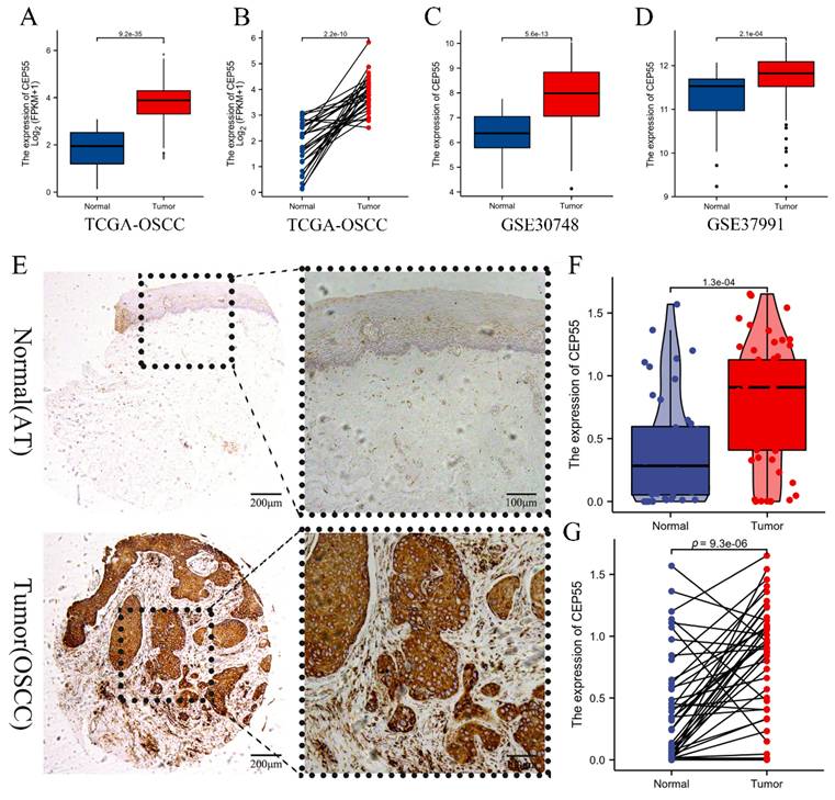 Int J Med Sci Image