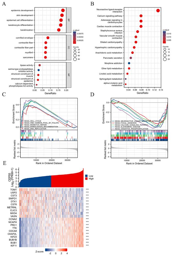 Int J Med Sci Image