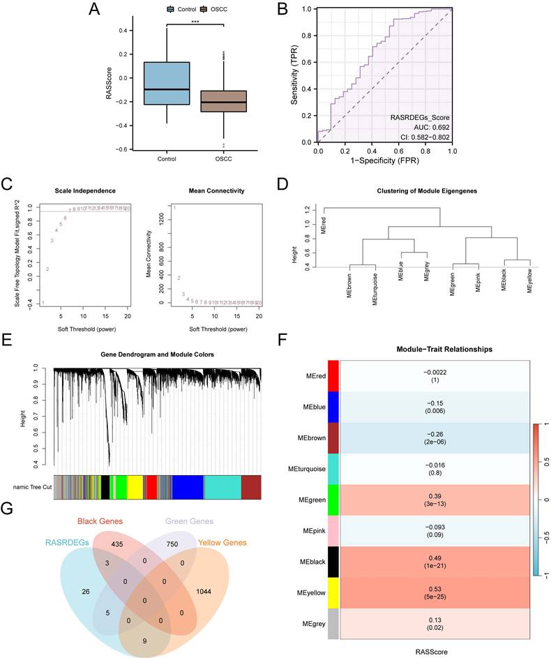 Int J Med Sci Image