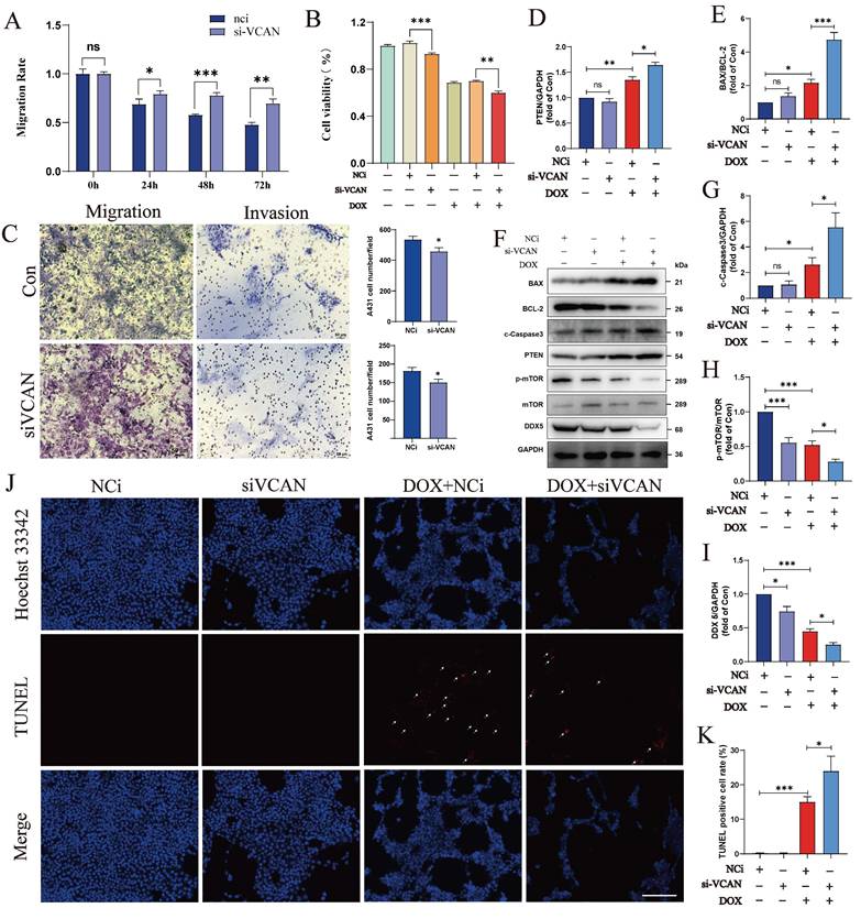 Int J Med Sci Image