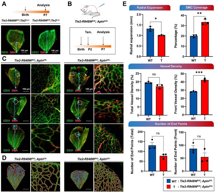 Int J Med Sci Image