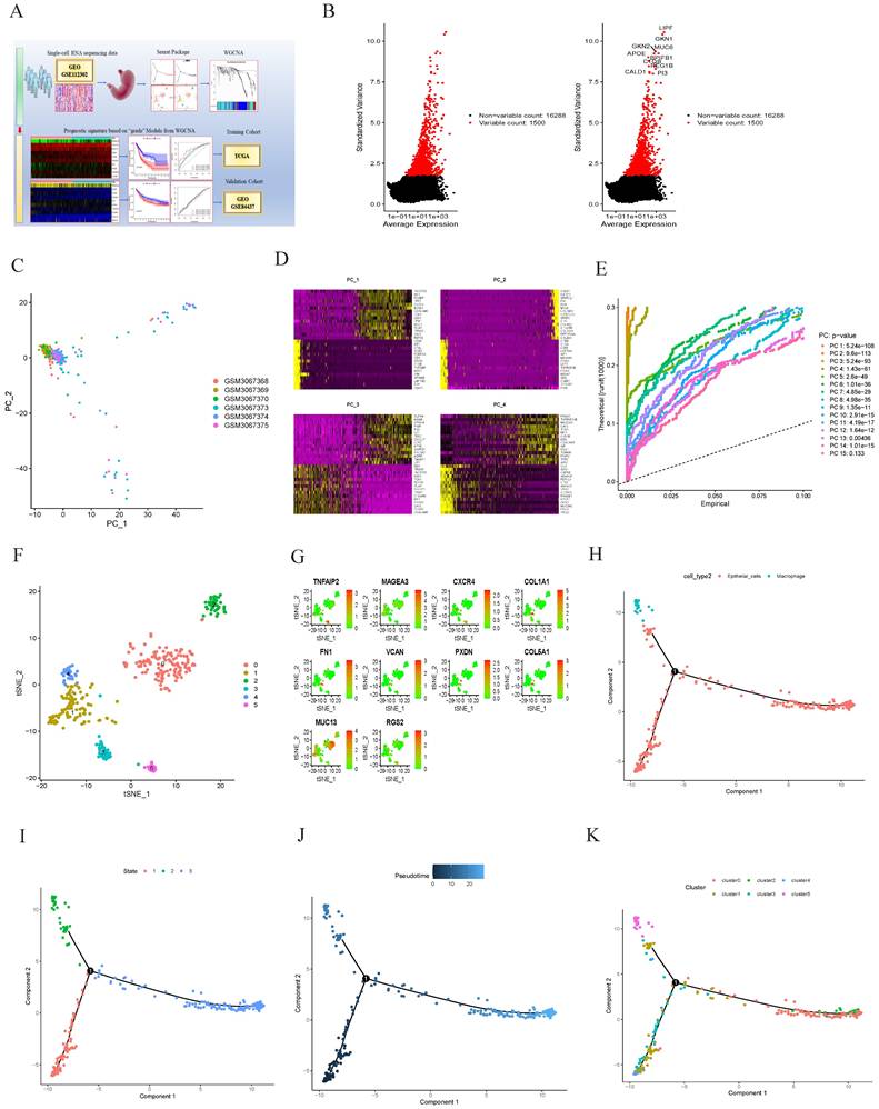 Int J Med Sci Image