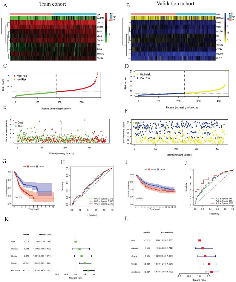Int J Med Sci Image