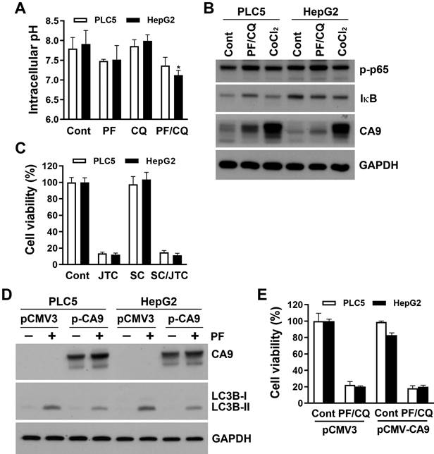 Int J Med Sci Image