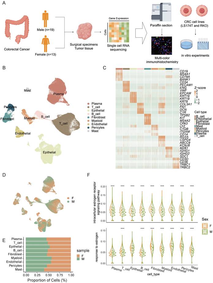 Int J Med Sci Image