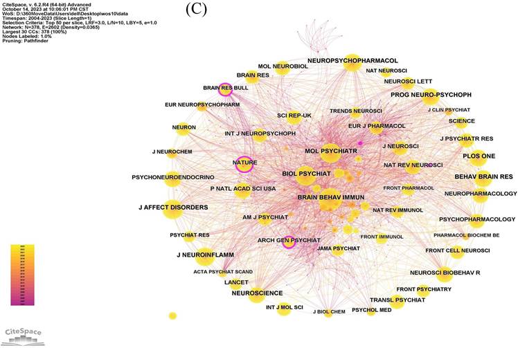 Int J Med Sci Image