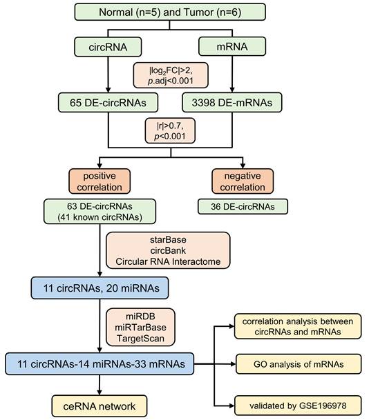 Int J Med Sci Image