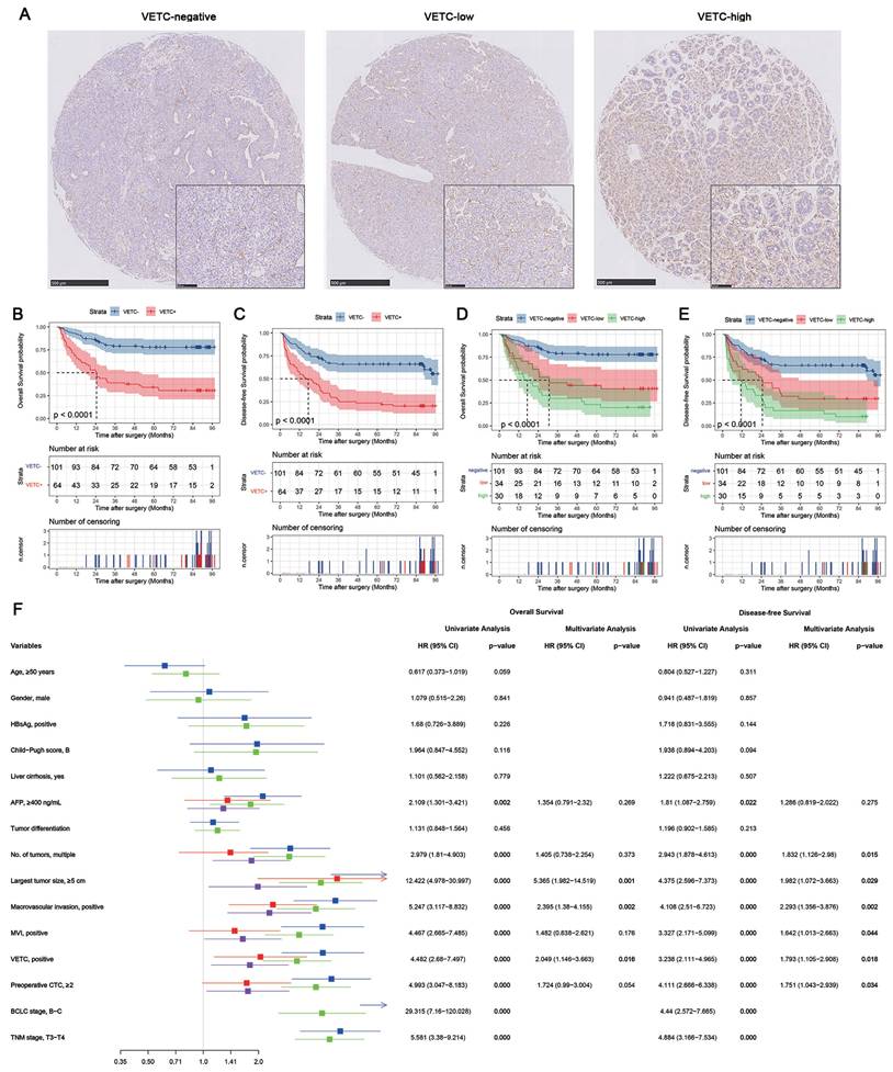 Int J Med Sci Image