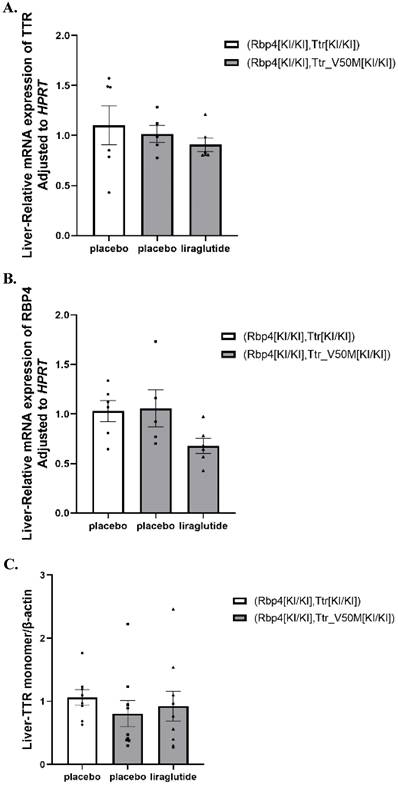 Int J Med Sci Image