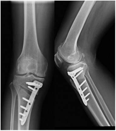 Int J Med Sci Image