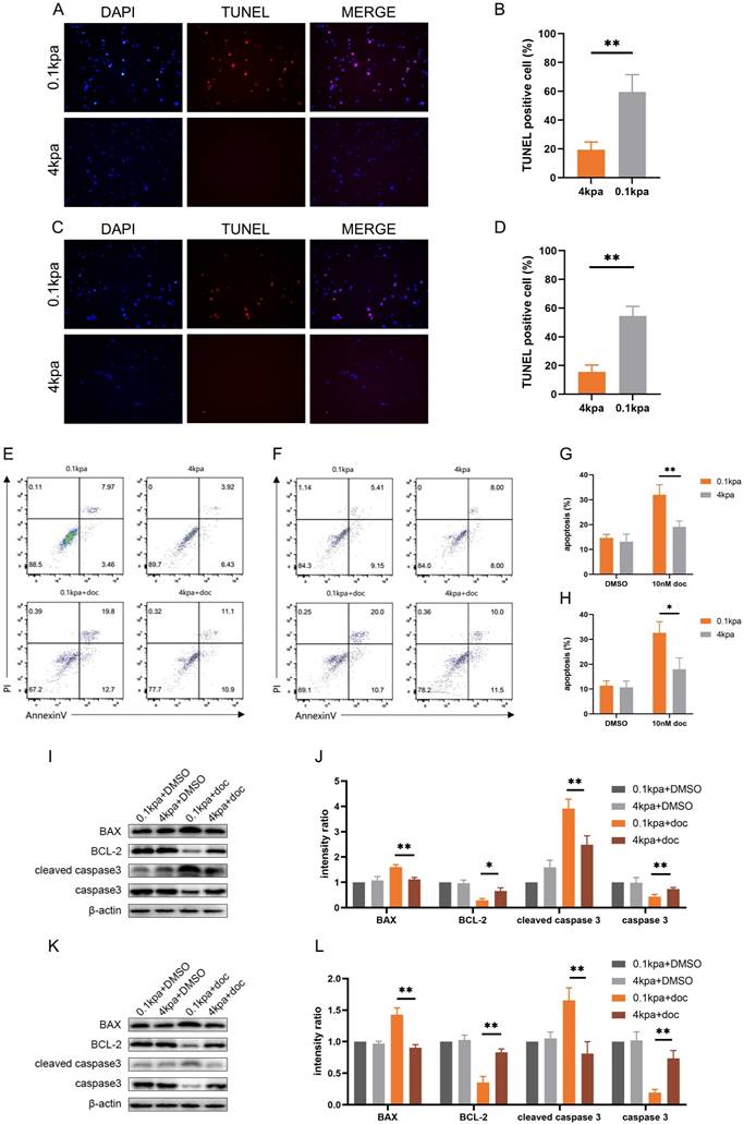 Int J Med Sci Image