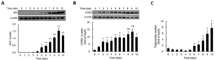 Int J Med Sci Image