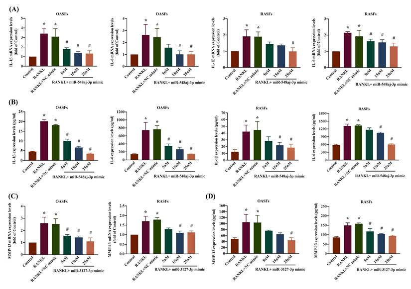 Int J Med Sci Image