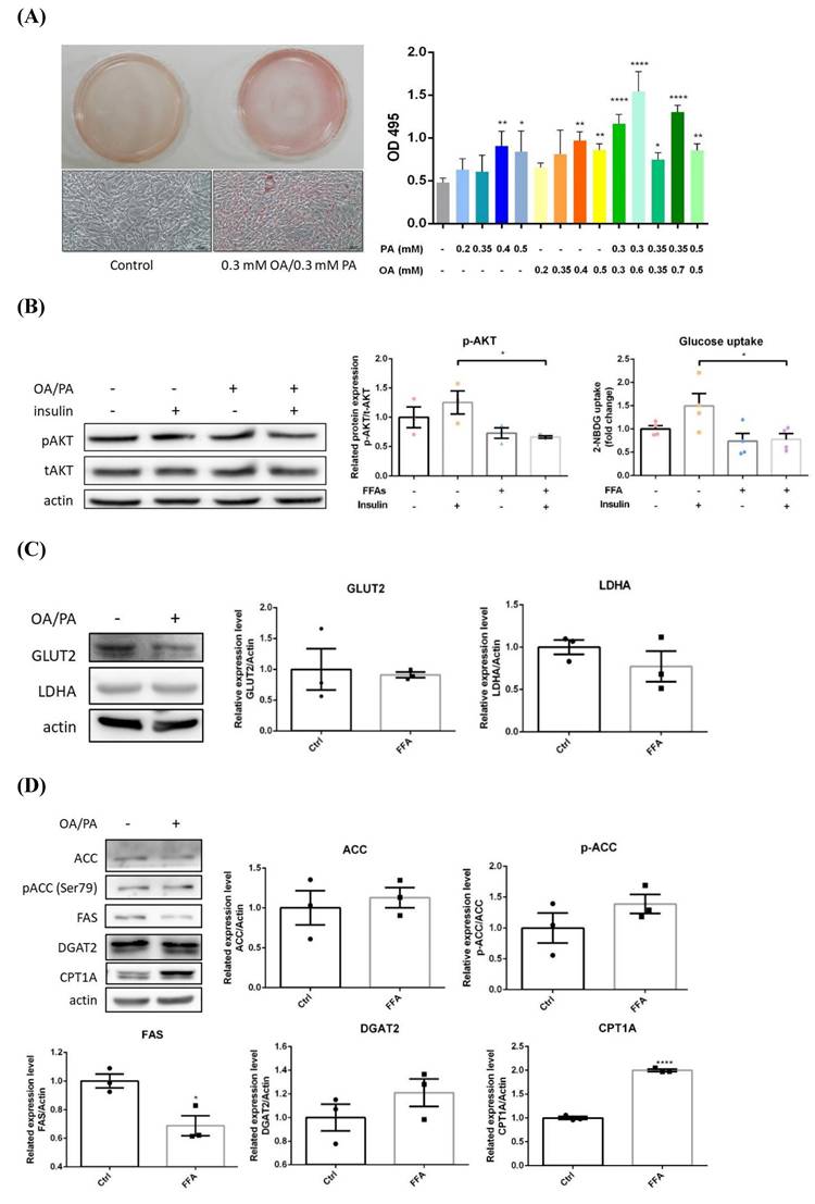 Int J Med Sci Image