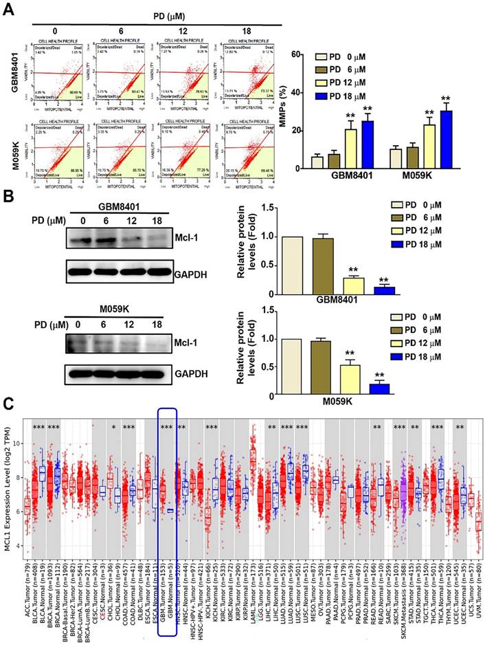 Int J Med Sci Image