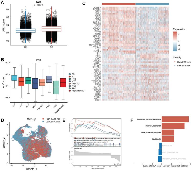 Int J Med Sci Image