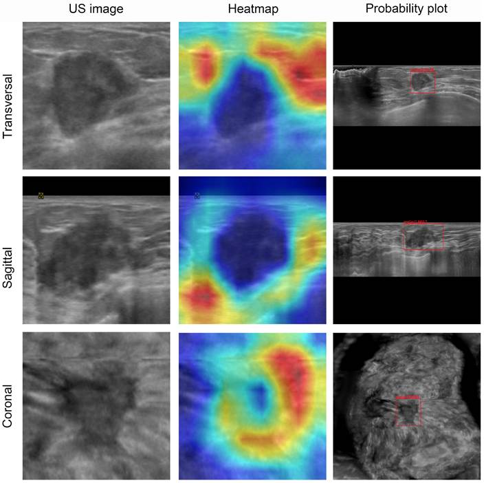 Int J Med Sci Image