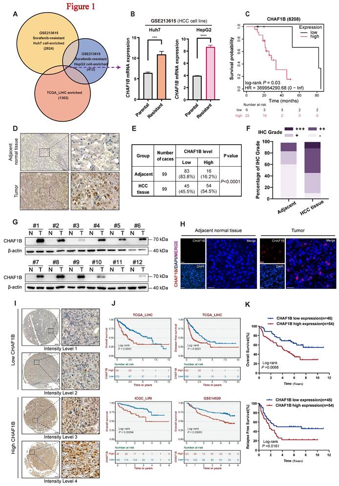 Int J Med Sci Image