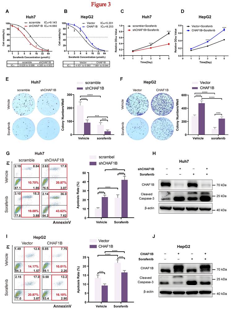 Int J Med Sci Image