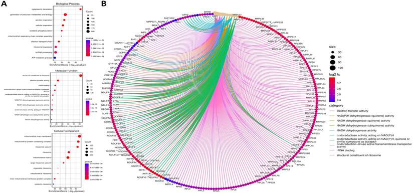 Int J Med Sci Image