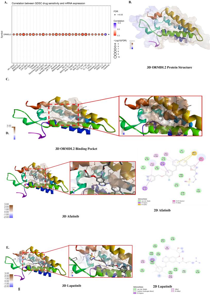 Int J Med Sci Image