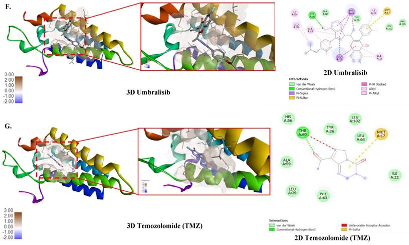 Int J Med Sci Image