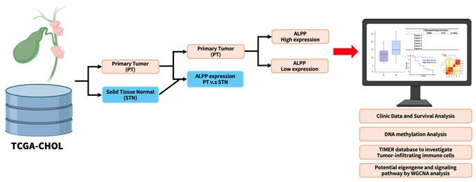Int J Med Sci Image