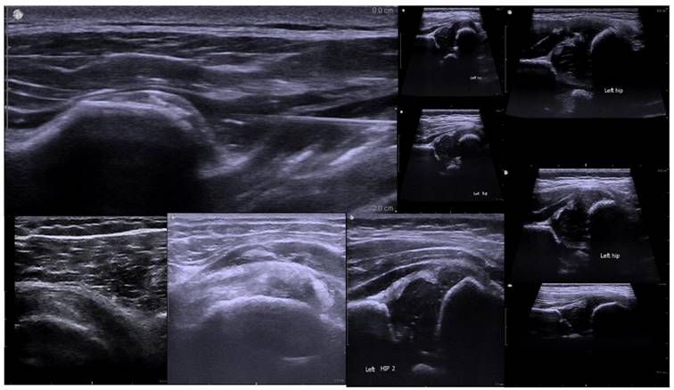 Int J Med Sci Image